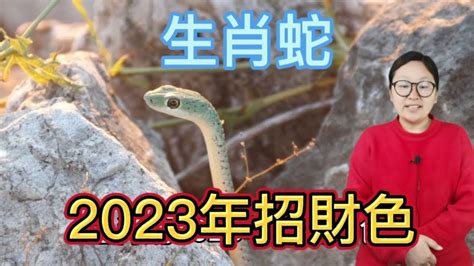 蛇幸運顏色|【蛇幸運色】2024年屬蛇必看！幸運關鍵色揭曉，把握好運勢！